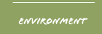 environment